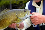 Dog Lake Resort Fly Fishing